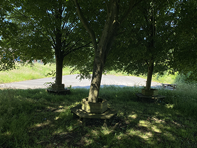 Copse Copse