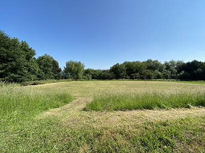 Field Field