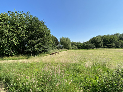 outdoor venue field